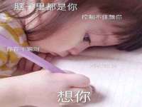 海南青兰雨商贸有限公司