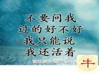 海南青兰雨商贸有限公司