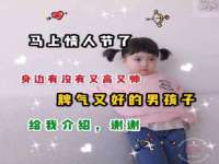 海南青兰雨商贸有限公司