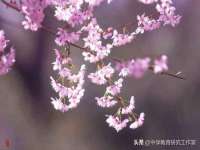 海南青兰雨商贸有限公司