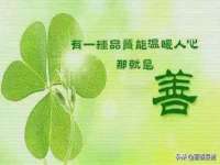 海南青兰雨商贸有限公司