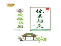 海南青兰雨商贸有限公司