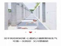 海南青兰雨商贸有限公司