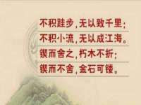 海南青兰雨商贸有限公司