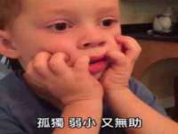 海南青兰雨商贸有限公司