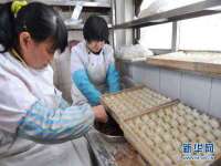 海南青兰雨商贸有限公司