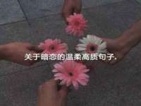 海南青兰雨商贸有限公司