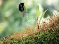 海南青兰雨商贸有限公司