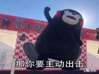 海南青兰雨商贸有限公司