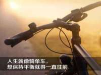 海南青兰雨商贸有限公司