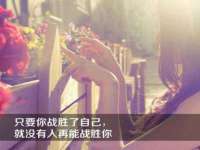 海南青兰雨商贸有限公司