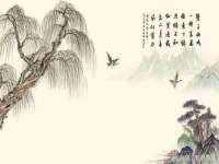 海南青兰雨商贸有限公司