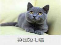 海南青兰雨商贸有限公司