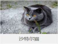 海南青兰雨商贸有限公司