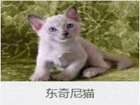 海南青兰雨商贸有限公司