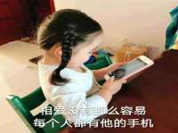 海南青兰雨商贸有限公司
