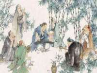 海南青兰雨商贸有限公司