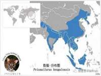 海南青兰雨商贸有限公司