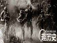 海南青兰雨商贸有限公司