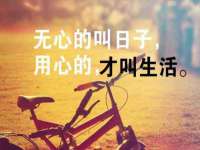 海南青兰雨商贸有限公司