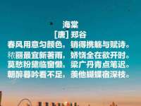 海南青兰雨商贸有限公司