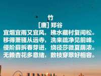 海南青兰雨商贸有限公司