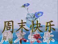 海南青兰雨商贸有限公司