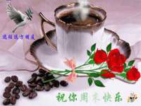 海南青兰雨商贸有限公司