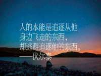 海南青兰雨商贸有限公司