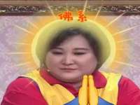 海南青兰雨商贸有限公司