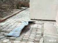 海南青兰雨商贸有限公司