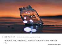 海南青兰雨商贸有限公司