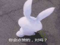 海南青兰雨商贸有限公司