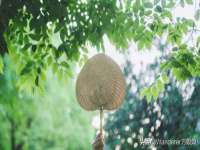 海南青兰雨商贸有限公司
