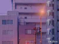 海南青兰雨商贸有限公司