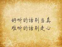 海南青兰雨商贸有限公司