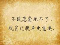 海南青兰雨商贸有限公司