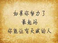 海南青兰雨商贸有限公司