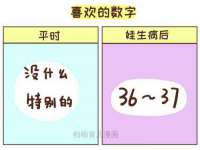 海南青兰雨商贸有限公司
