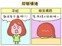 海南青兰雨商贸有限公司