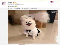 海南青兰雨商贸有限公司
