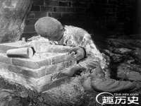 海南青兰雨商贸有限公司