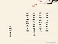 海南青兰雨商贸有限公司