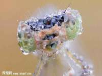 海南青兰雨商贸有限公司