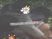海南青兰雨商贸有限公司