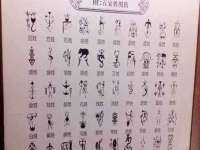 海南青兰雨商贸有限公司