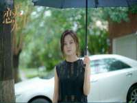 海南青兰雨商贸有限公司