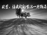海南青兰雨商贸有限公司