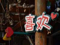 海南青兰雨商贸有限公司
