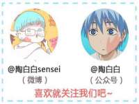 海南青兰雨商贸有限公司